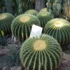 Botanischer Garten